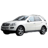 M Class