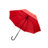 Women's Clothing Accessories