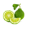 Citrus
