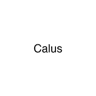 Calus