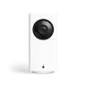 Nanny Cams