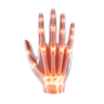 Collagen Supplements