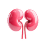 Urinary Tract Health Supplements